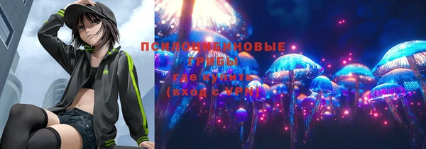 mix Няндома