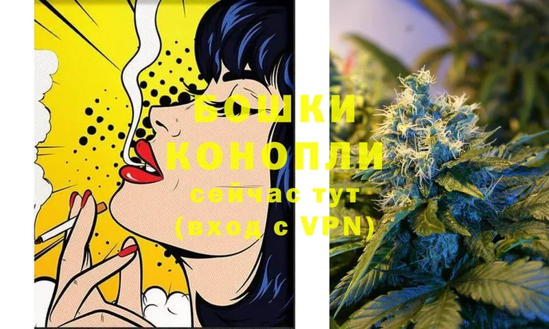 Бошки Шишки THC 21%  Мамоново 